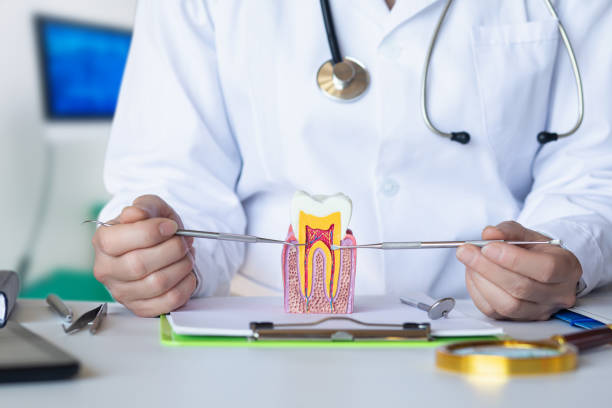 Best Root Canal Emergency Dentist  in Provo, UT